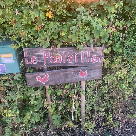 Logement Independant Le Poulailler Proche Guedelon トレニー エクステリア 写真