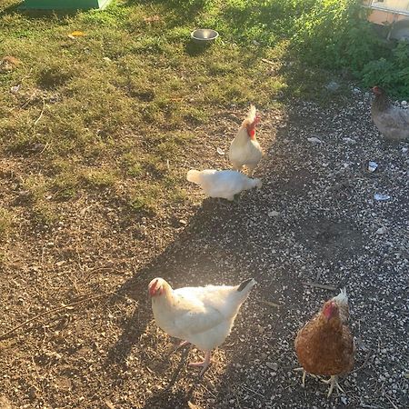 Logement Independant Le Poulailler Proche Guedelon トレニー エクステリア 写真